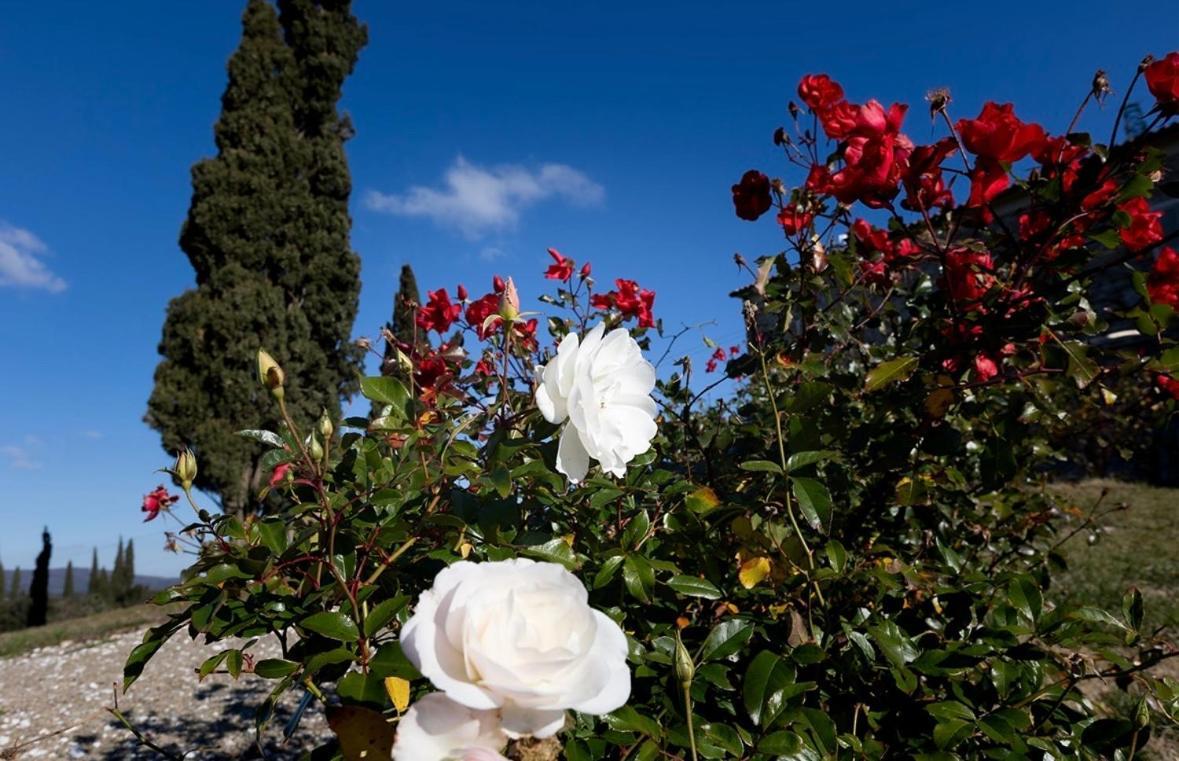 Agriturismo Il Ghiaccio Суверето Экстерьер фото